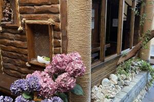 Изображение отеля / гостиницы "Гостевой дом «Серена»"