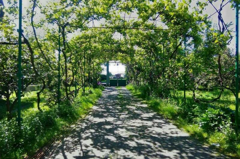 Изображение Изображение гостиницы &quot;Гостевой дом «Одиссей»&quot; #6 #6