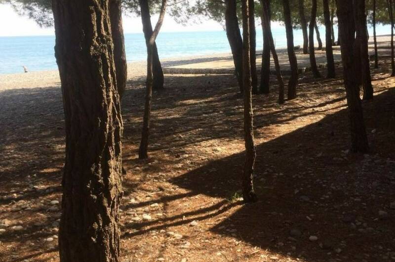 Изображение Изображение отеля / гостиницы "Гостевой дом «Одиссей»" #10 #8