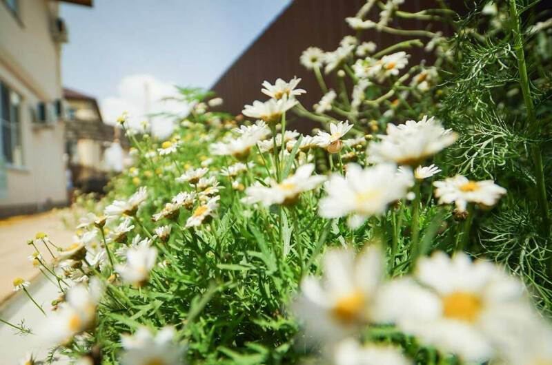 Изображение Изображение гостиницы &quot;Гостевой дом «Энергия Жизни»&quot; #3 #3