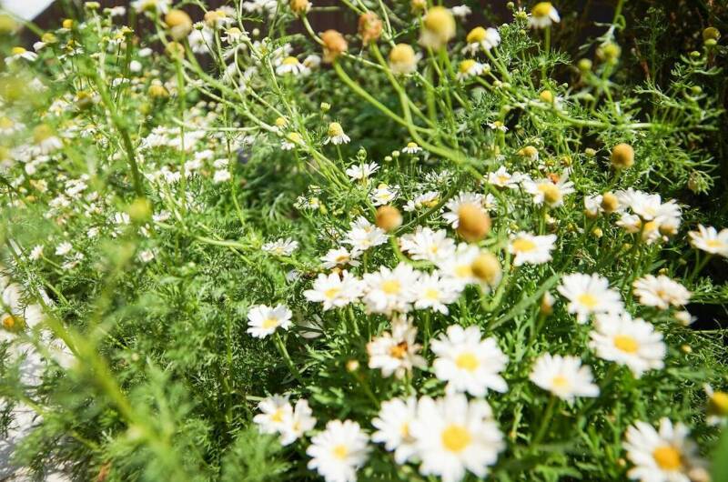 Изображение Изображение гостиницы &quot;Гостевой дом «Энергия Жизни»&quot; #8 #8