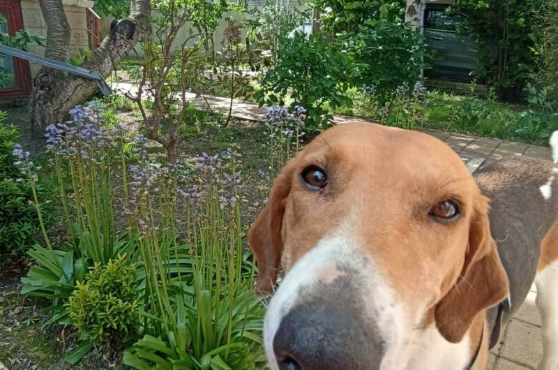 Изображение Изображение отеля / гостиницы "Гостевой дом «Прованс»" #10 #8