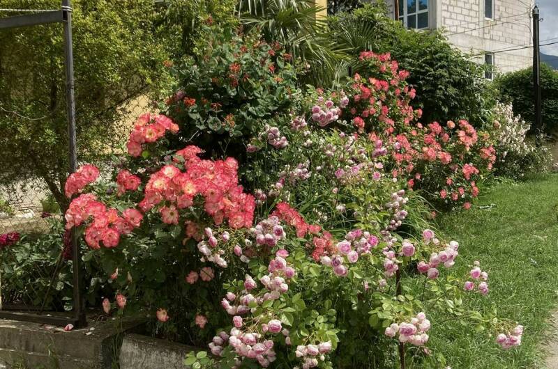 Изображение Изображение гостиницы &quot;Частный сектор «Семейный»&quot; #4 #4