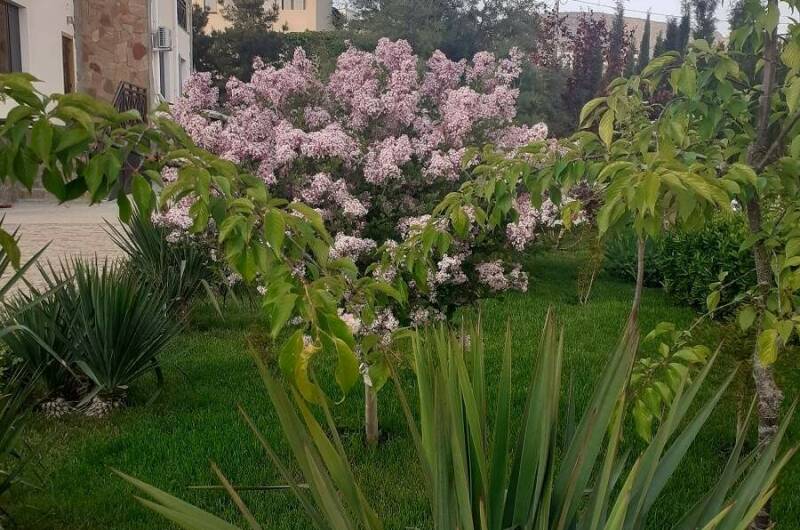 Изображение Изображение гостиницы &quot;Гостевой дом «Sineva Del Sol»&quot; #8 #8