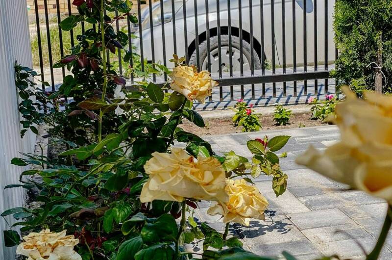 Изображение Изображение гостиницы &quot;Отель «Димитрион»&quot; #5 #5