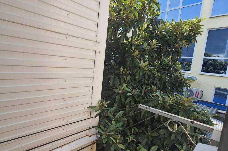 Изображение Изображение квартиры "Уютный номер у моря" #8 #8