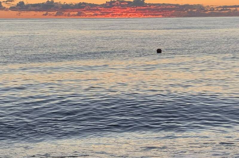 Изображение Изображение гостиницы "Гостевой дом «Леон»" #4 #4