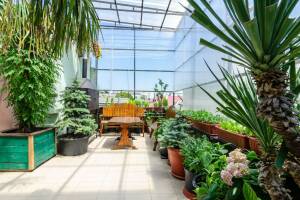 Изображение Гостевой дом «Оазис» #6