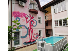 Изображение Гостевой дом «Розовая пантера» #6