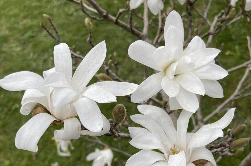 Изображение Изображение отеля / гостиницы "Гостевой дом «Геленджикский дворик»" #2 #2