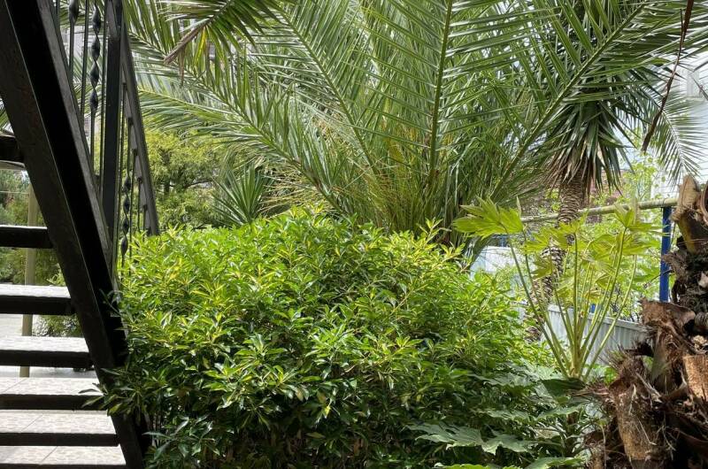 Изображение Изображение гостиницы "Гостевой дом «Маруся»" #4 #4