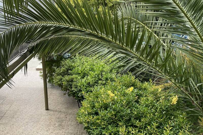 Изображение Изображение отеля / гостиницы "Гостевой дом «Маруся»" #10 #8