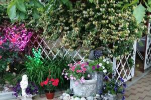 Изображение гостиницы "Гостевой дом на Ростовской 50"