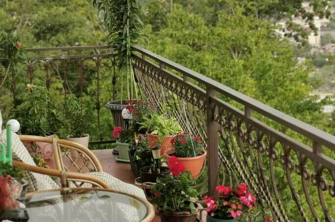 Изображение Изображение отеля / гостиницы "Гостевой дом «Татьяна»" #11 #9