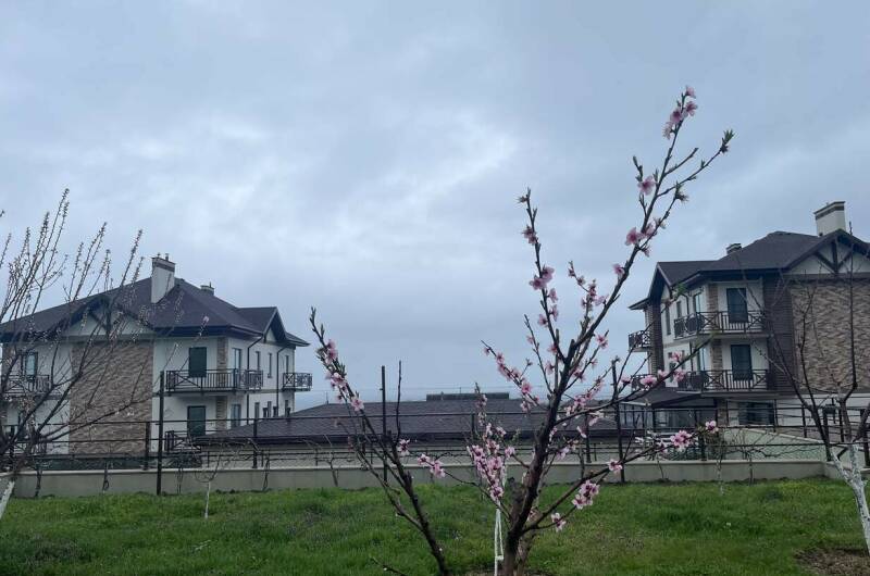 Изображение Изображение гостиницы "Гостевой дом «Буджак»" #6 #6