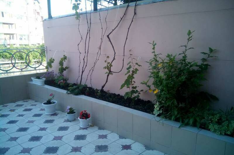 Изображение Изображение квартиры &quot;Дом под ключ «У Палыча»&quot; #8 #8