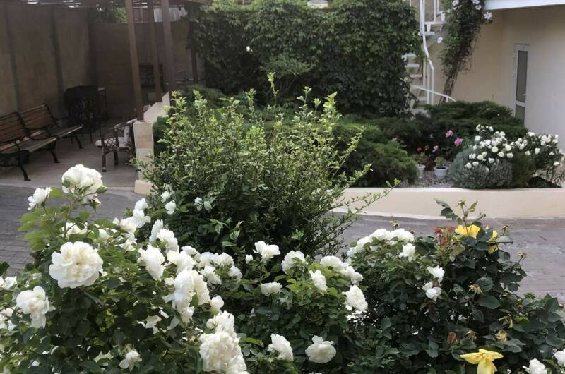 Изображение Изображение отеля / гостиницы "Гостевой дом на ул. 9 мая" #11 #9