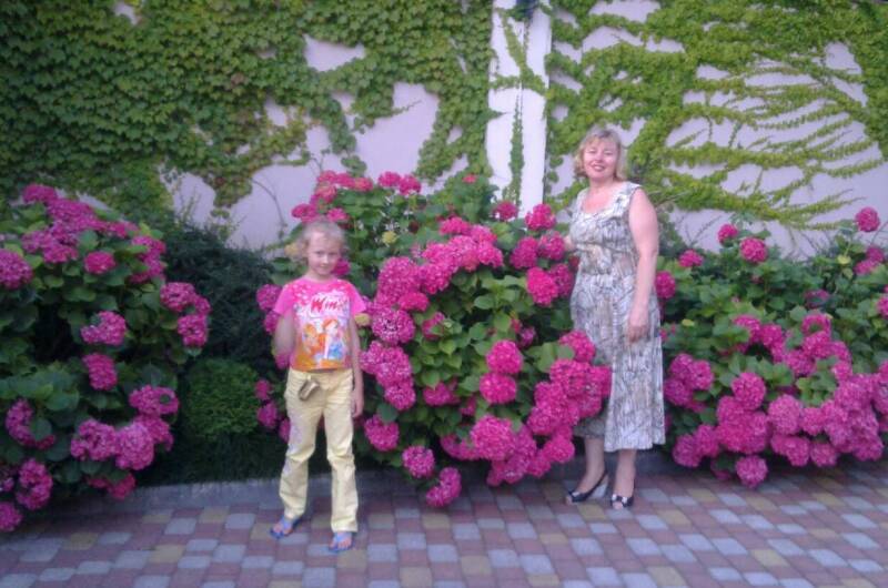 Изображение Изображение гостиницы &quot;Гостевой дом «Лаванда»&quot; #5 #5