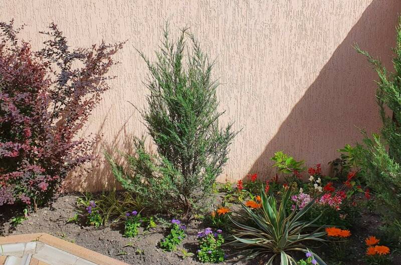 Изображение Изображение гостиницы &quot;Отель «ТриО»&quot; #7 #7