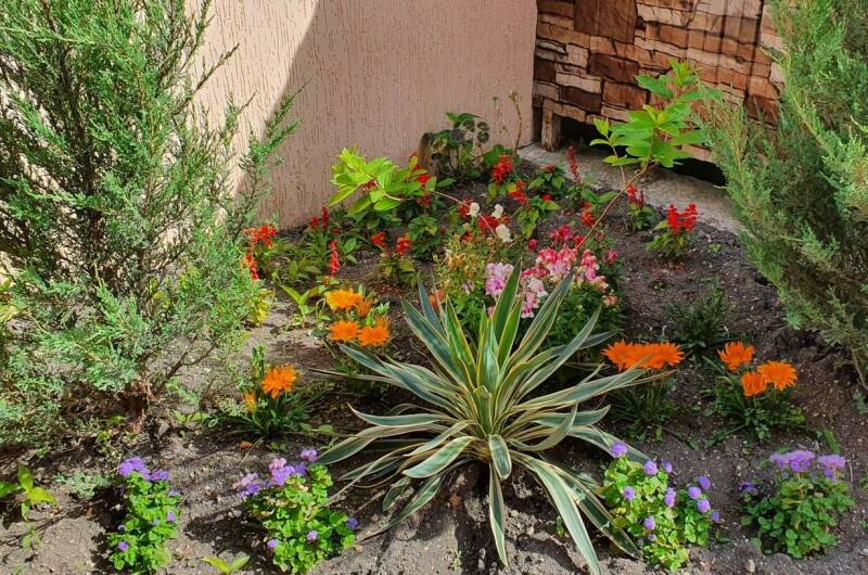 Изображение Изображение гостиницы &quot;Отель «ТриО»&quot; #8 #8