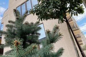 Изображение гостиницы "Отель «A-more»"