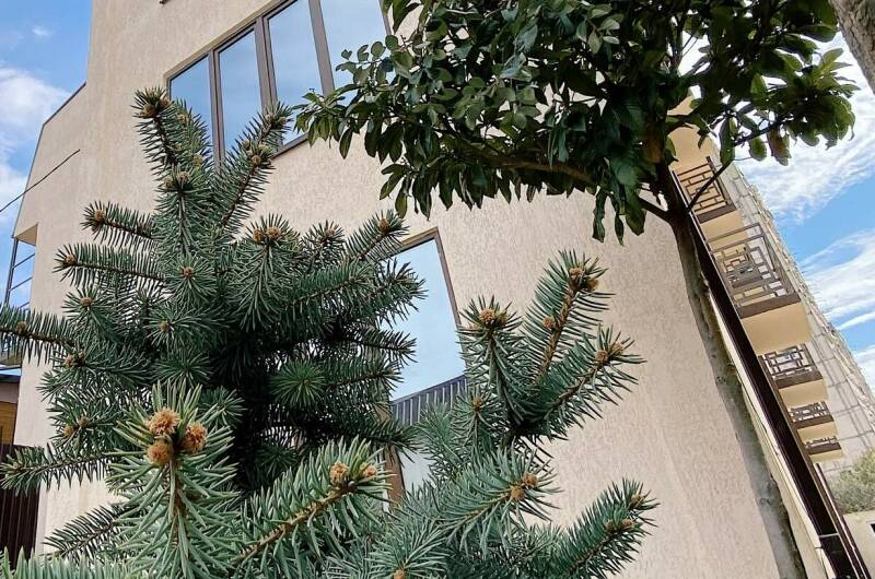 Изображение Изображение гостиницы "Отель «A-more»" #1 #1