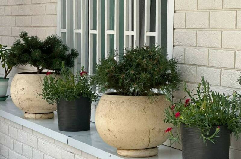 Изображение Изображение гостиницы "Гостевой дом «Мир»" #2 #2