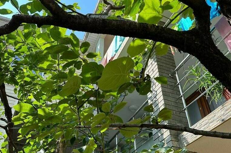 Изображение Изображение гостиницы "Гостевой дом «Мир»" #6 #6