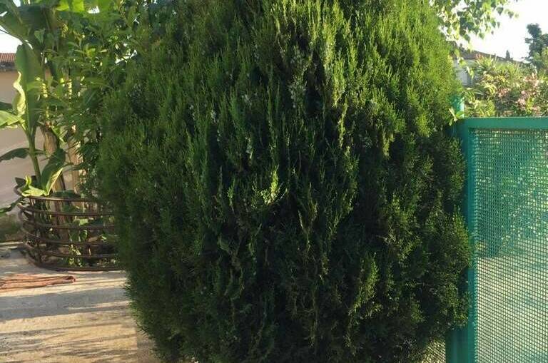 Изображение Изображение гостиницы "Гостевой дом «Ася»" #2 #2