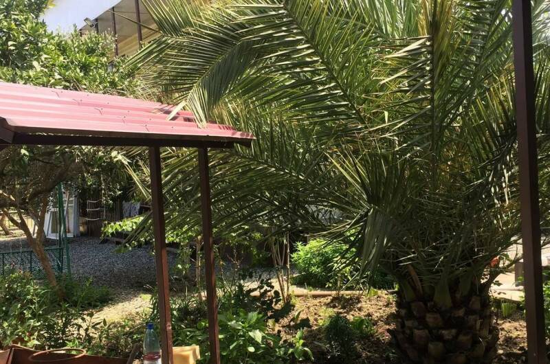 Изображение Изображение гостиницы "Гостевой дом «Ася»" #6 #6