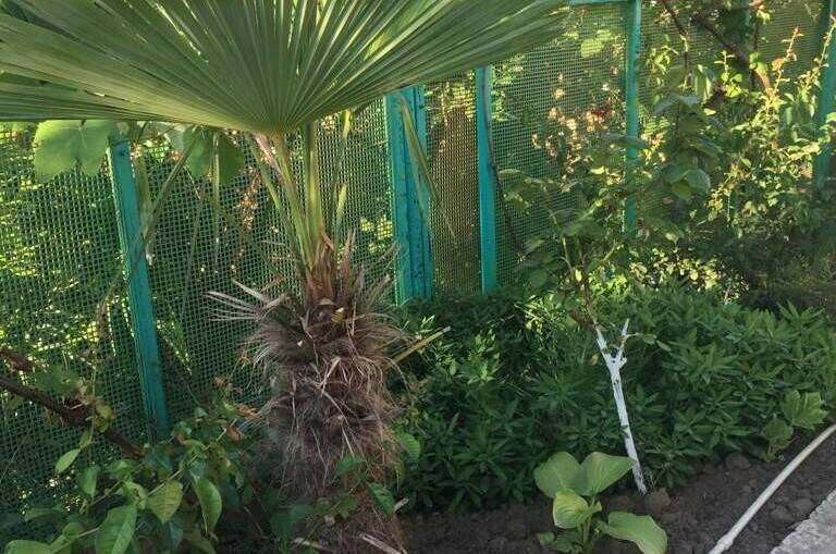 Изображение Изображение гостиницы "Гостевой дом «Ася»" #8 #8