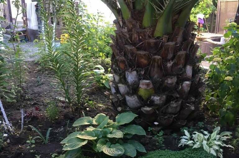 Изображение Изображение отеля / гостиницы "Гостевой дом «Ася»" #11 #9