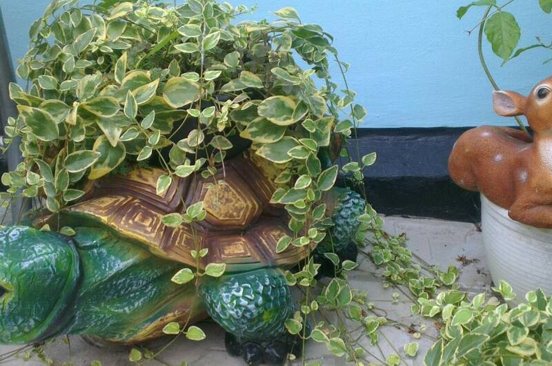 Изображение Изображение гостиницы &quot;Гостевой дом «У Борисовны»&quot; #2 #2