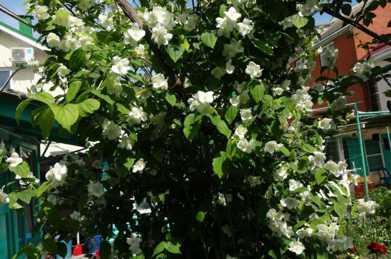 Изображение Изображение гостиницы &quot;Гостевой дом «У Борисовны»&quot; #5 #5