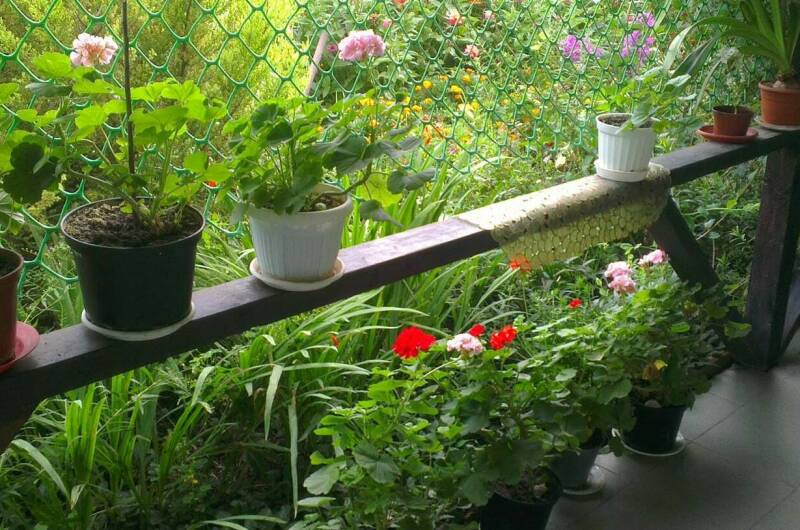 Изображение Изображение гостиницы &quot;Гостевой дом «У Борисовны»&quot; #8 #8