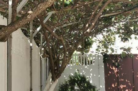 Изображение Изображение гостиницы &quot;Гостевой дом «Киви»&quot; #7 #7