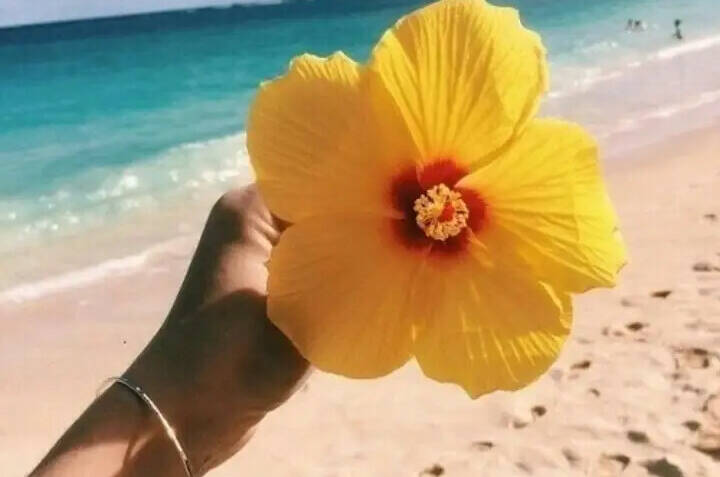 Изображение Изображение отеля / гостиницы "Эко-дом у моря в КП «Альбатрос»" #10 #8