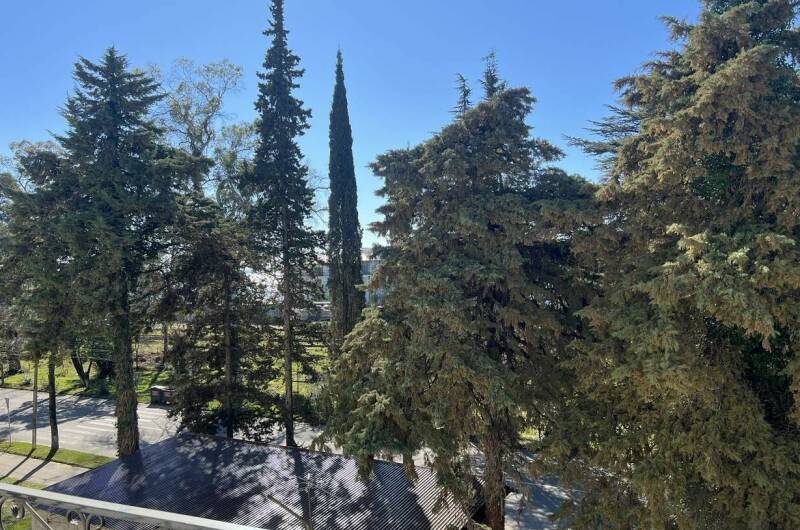 Изображение Изображение квартиры / апартамента "Квартира-студия" #10 #8