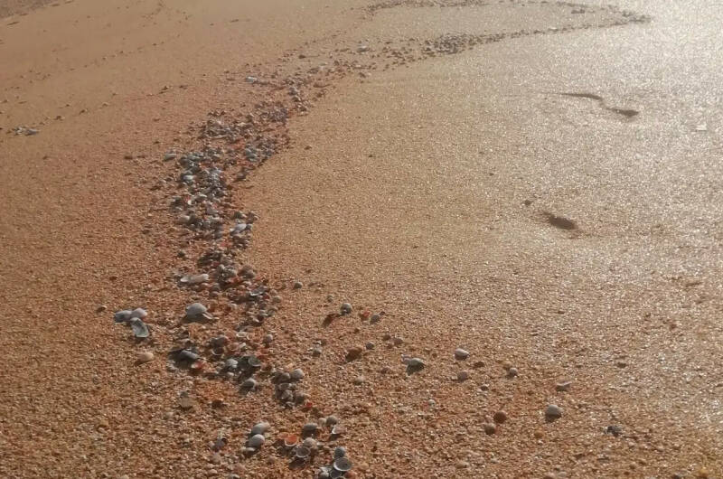 Изображение Изображение отеля / гостиницы "Эко-дом у моря в КП «Альбатрос»" #11 #9