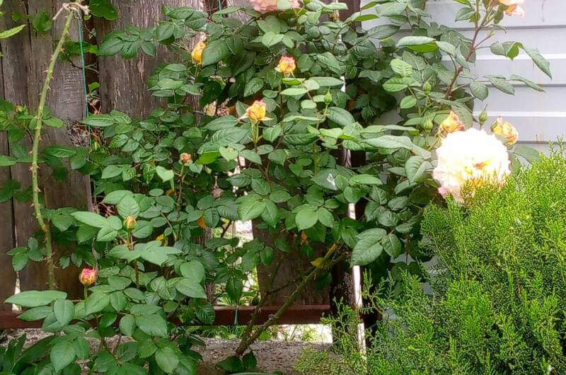 Изображение Изображение гостиницы &quot;Гостевой дом на Магистральной&quot; #7 #7