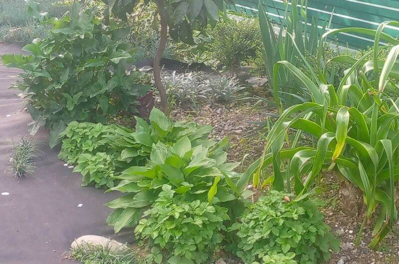 Изображение Изображение отеля / гостиницы "Гостевой дом на Магистральной" #11 #9