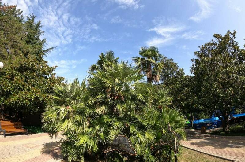 Изображение Изображение гостиницы &quot;Гостевой дом «Эдем»&quot; #4 #4