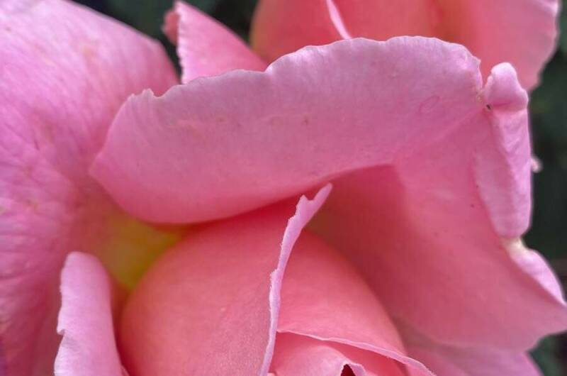 Изображение Изображение гостиницы &quot;Гостевой дом «Южные ночи»&quot; #7 #7