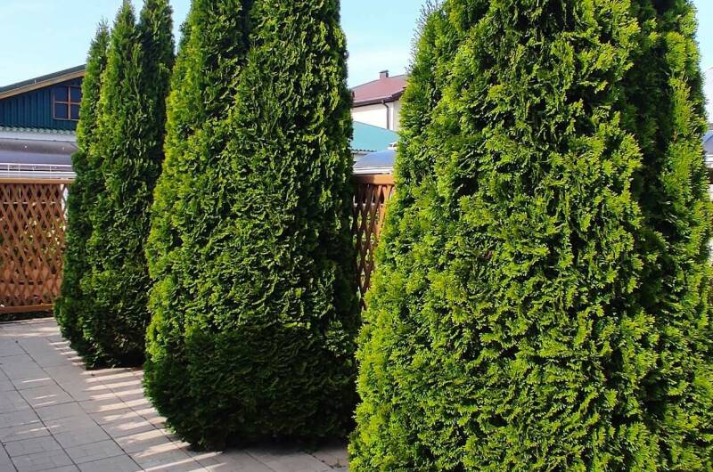 Изображение Изображение гостиницы &quot;Мини-гостиница «Морское небо»&quot; #3 #3