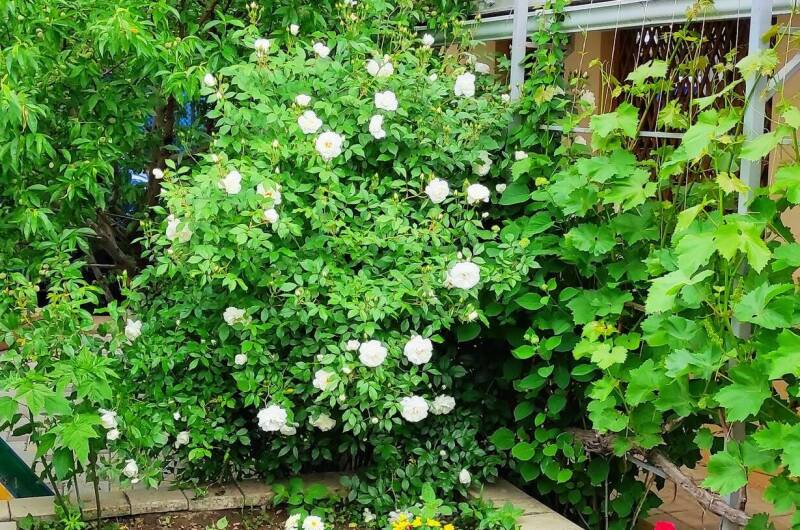 Изображение Изображение отеля / гостиницы "Мини-гостиница «Морское небо»" #10 #8