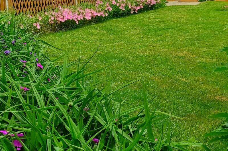 Изображение Изображение отеля / гостиницы "Мини-гостиница «Морское небо»" #11 #9