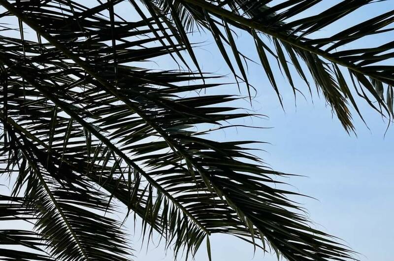 Изображение Изображение квартиры "Апартаменты у моря в «ЖК Посейдон»" #5 #5