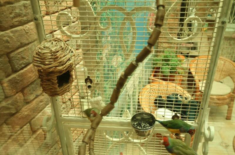 Изображение Изображение гостиницы "Комплекс апартаментов «Анита — Сочи»" #4 #4