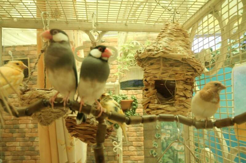 Изображение Изображение гостиницы "Комплекс апартаментов «Анита — Сочи»" #6 #6