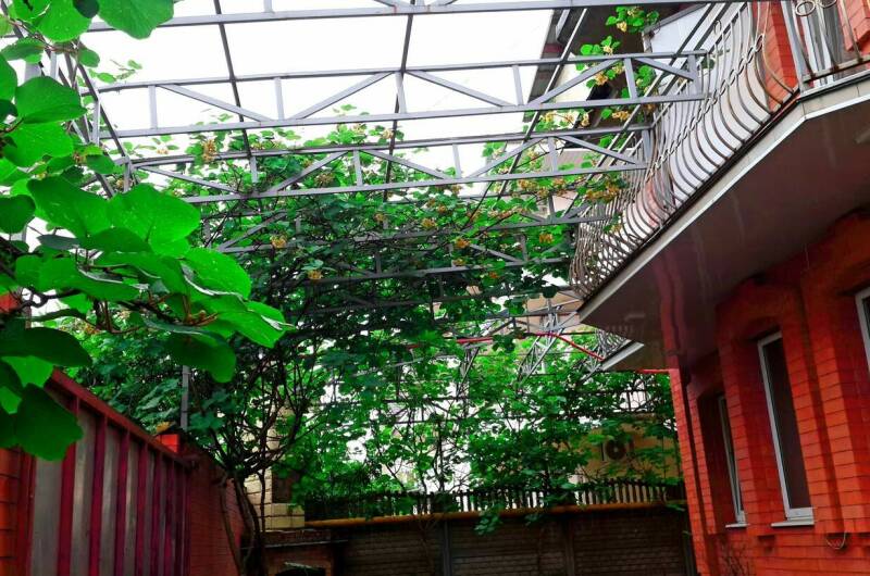 Изображение Изображение гостиницы &quot;Гостевой дом «Аметист»&quot; #5 #5